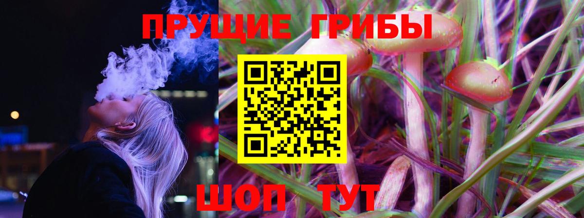 Галлюциногенные грибы Psilocybe  Псилоцибиновые грибы Psilocybe  Добрянка  Вход с VPN 